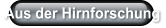 Aus der Hirnforschung